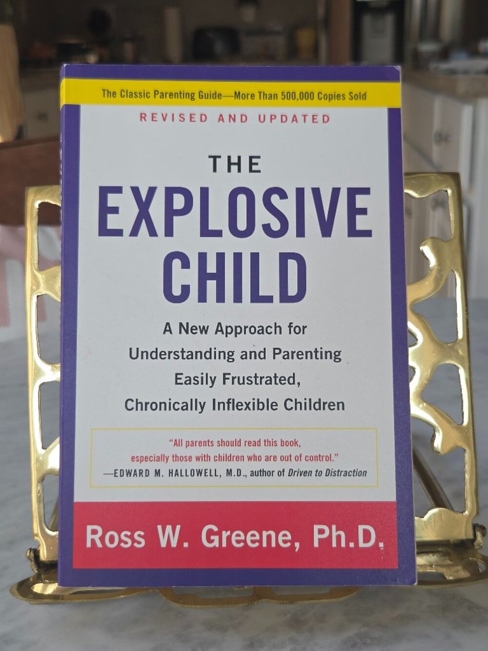 THE EXPLOSIVE CHILD, A GUIDE FOR PARENTING CHALENGING CHILDREN